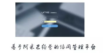 上?；ヂ摼W軟件集團 高端協同管理軟件與咨詢服務領軍者